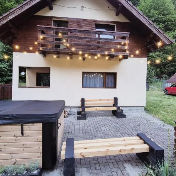 Căsuța din poiană - Râu Sadului, hotel in Rau Sadului