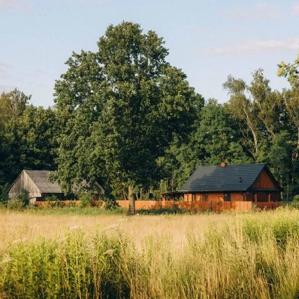 Między łąką a lasem, hotel u gradu 'Żdżar'