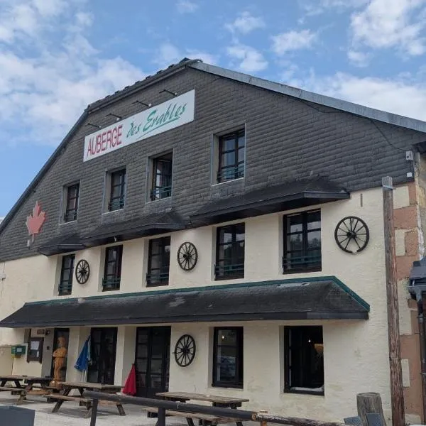 L'auberge des Érables, hotel v mestu La Pesse