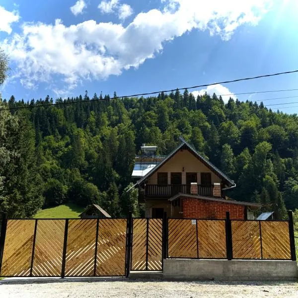 Casa hoinarului, hotell sihtkohas Borca