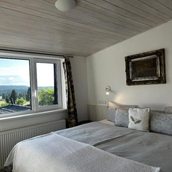 Svaty Prokop Luxury Apartment Boží Dar, khách sạn ở Boží Dar