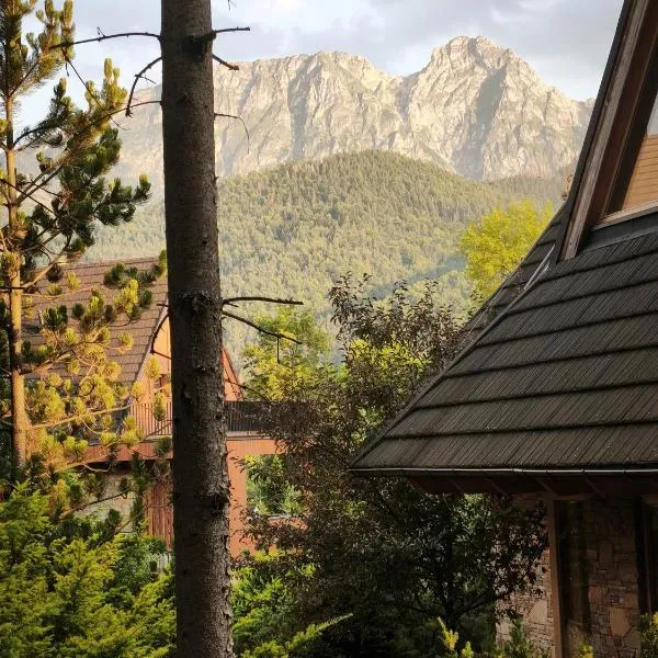 Sobiczkowa Panorama, Hotel in Kościelisko