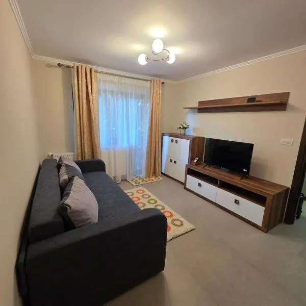 Tilia Home Apartament, hotel en Odobeşti