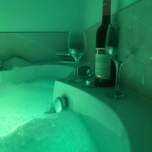 Premium Jacuzzi Apartment-Free parking garage, hotel di Novi Sad