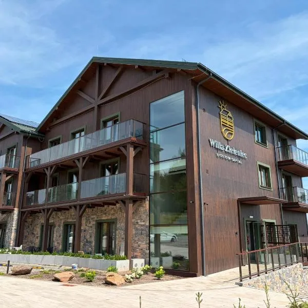 Willa Zieleniec, Apartament A9 - Piękny widok, basen, strefa wellness, Hotel in Duszniki-Zdrój