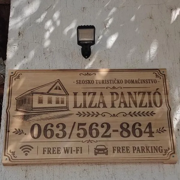 Liza Panzio, hotel u gradu Mali Iđoš