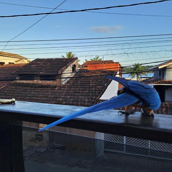 Casa da Praia na Vila Histórica de Mambucaba