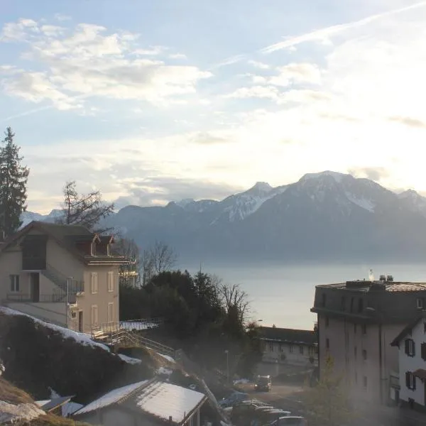 New appartment Design Montreux, хотел в Монтрьо