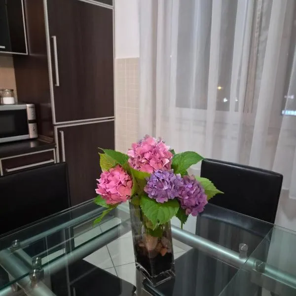 MILA studio apartment, hotel a Bar
