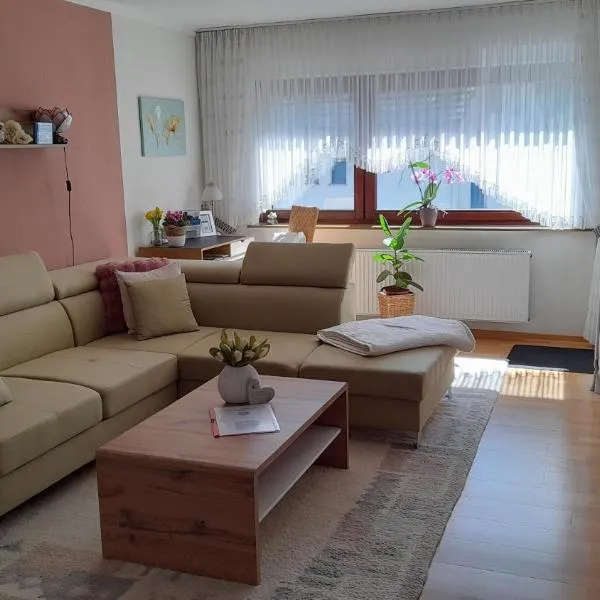 Ferienwohnung " Am Dorfbrunnen", hotel in Dienethal