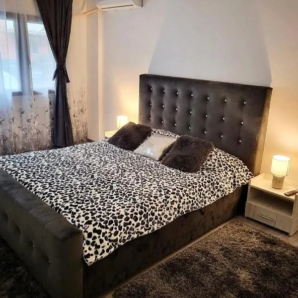 Apartament NECTARIA, hotel in Băile Herculane