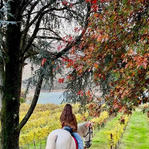 Quinta Linhas da Primavera, Hotel in Guimarães