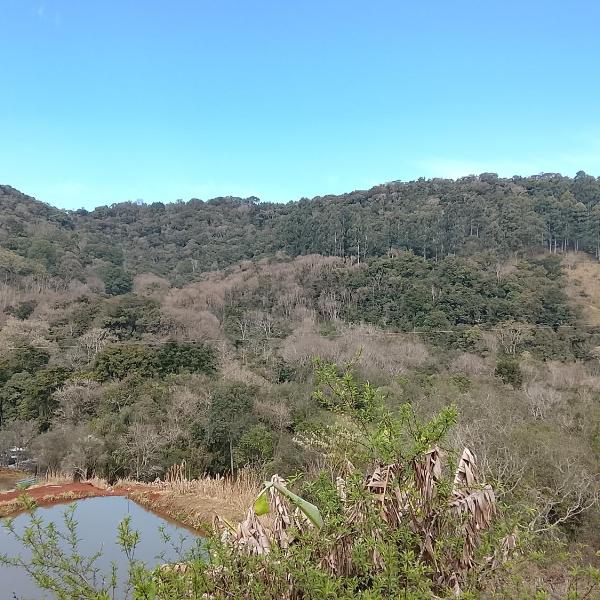 Morada nômade sitio três palmeiras - Foto 4