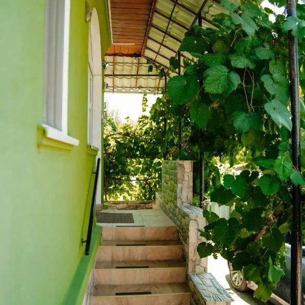 Casa Verde,位于Vaţa de Jos的酒店