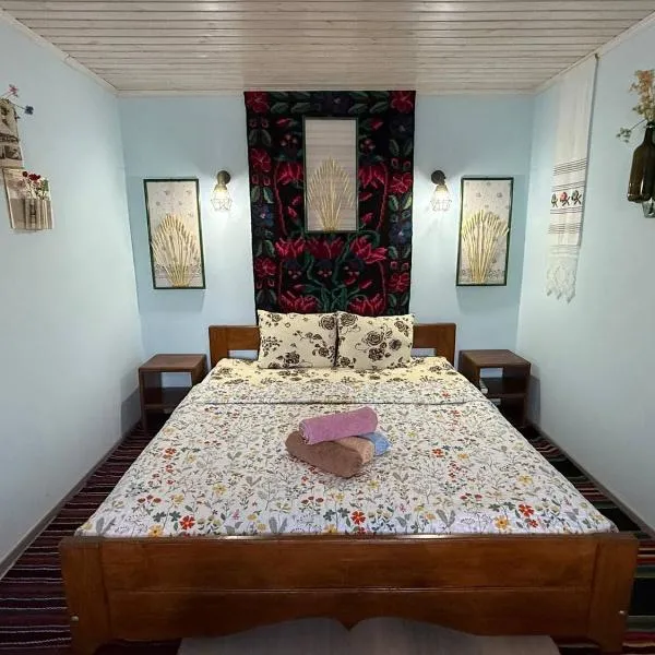 Cazare-LaBadeaMircea, hotel in Soroca
