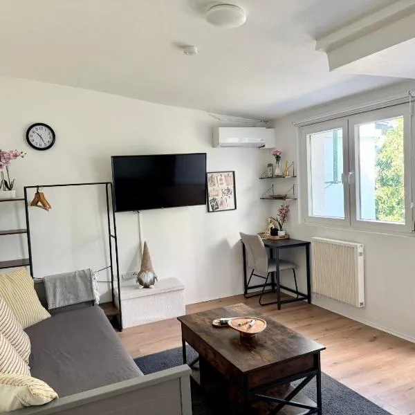 Mini Apartment mit Garten und Küche, хотел в Ilbenstadt