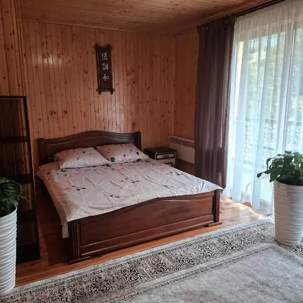 Oleksandria, hotelli kohteessa Volovets