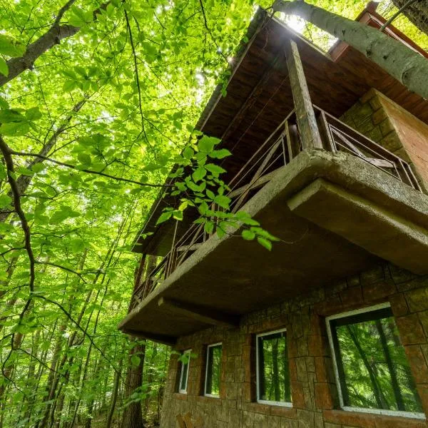 Maestro Rest House Dilijan، فندق في ديليجان