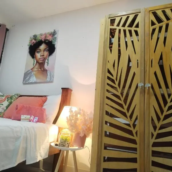 Carribean Boutique Hostel, hotel in San José
