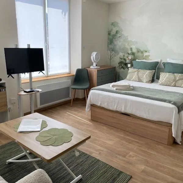 Charmant studio en plein cœur de Remiremont, hotel v destinaci Remiremont