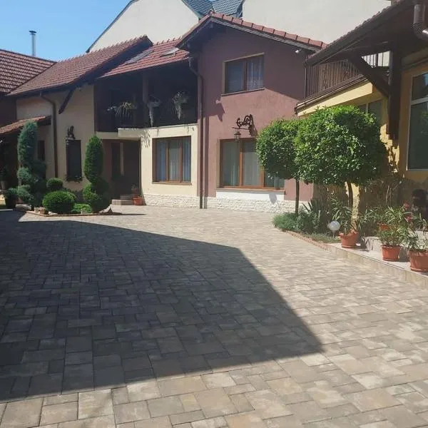 사투마레에 위치한 호텔 The Cozy Backyard Home- satu Mare