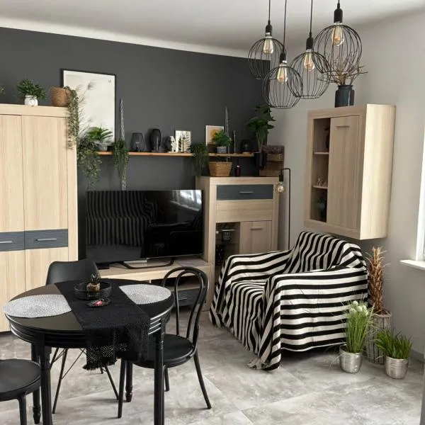 Apartament w centrum Kutna, Hotel in Kutno