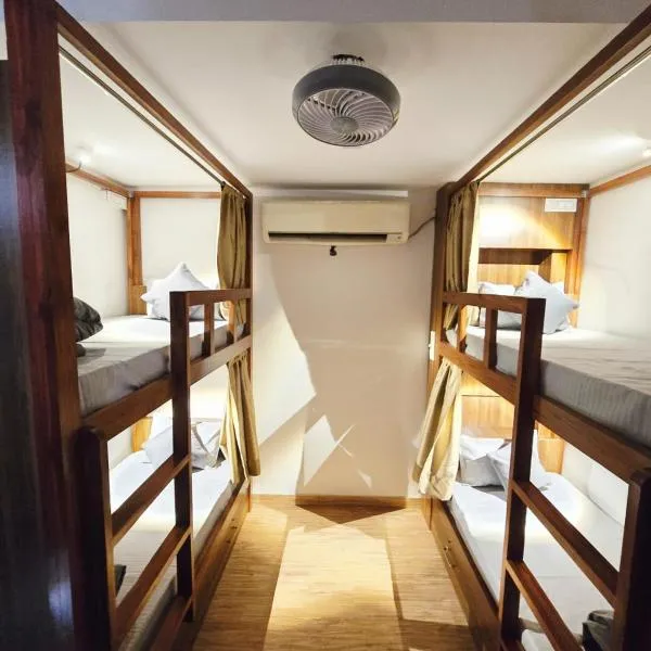 SLepYY FoX - Backpacker Hostel in Greater Kailash, hotel in New Delhi