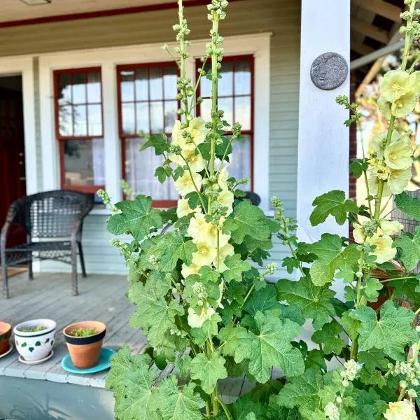 Bungalow with Fenced Yard Near Ferry and National Park, hotel v destinaci Port Angeles