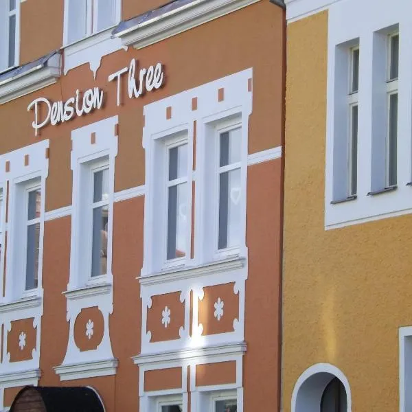 Pension Three, hotel in Františkovy Lázně