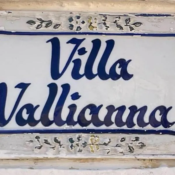 Vallianna Villa, hotel em Mesaria