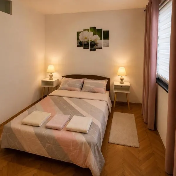 Fenix Apartman V، فندق في زاييتشار