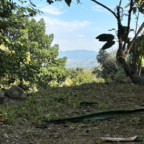 Camping Cantinho da Paz - Foto 2