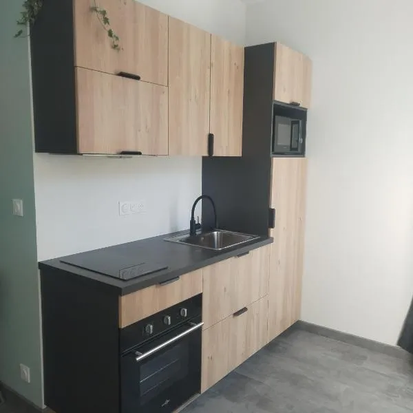 Appartement Cosy Chatel-Guyon, khách sạn ở Châtel-Guyon