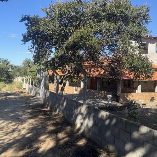 Pianco agrofloresta - Foto 4