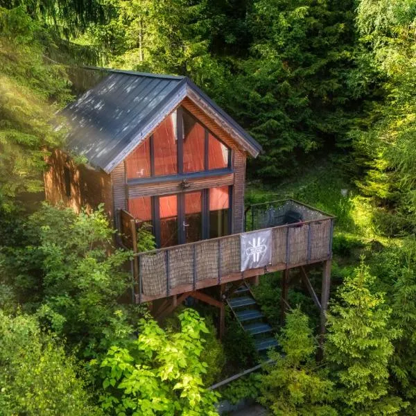 Ski House Szczyrk - Domek Na Kurzej Łapce, hotel in Szczyrk