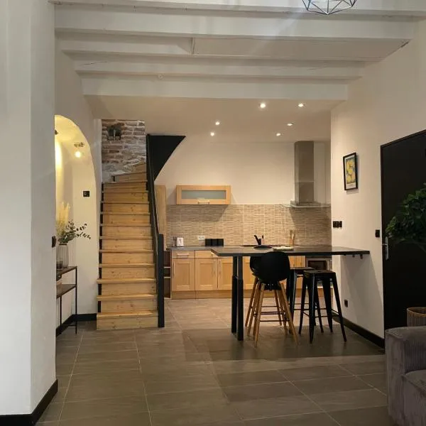 Appartement de charme au coeur d Albi、アルビのホテル