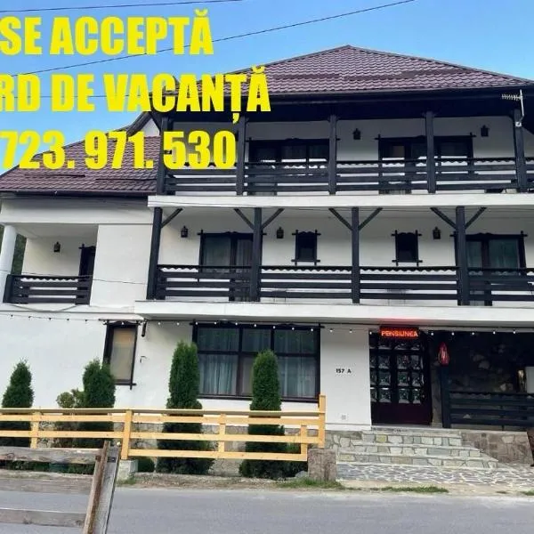 Pensiunea de la Rau-Matei-Moieciu de sus, hotel di Moieciu de Sus