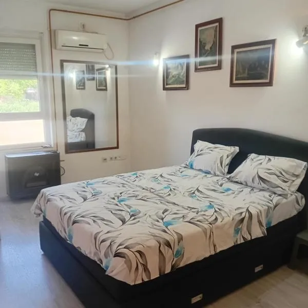 Sindi Apartman, hotell i Bačka Palanka