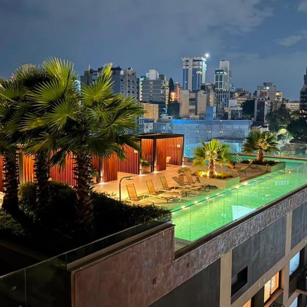 Rooftop Loft Spectacular view of Moinhos de Vento with balcony