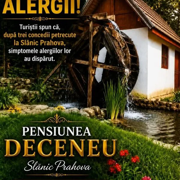 Pensiunea Deceneu, khách sạn ở Slănic