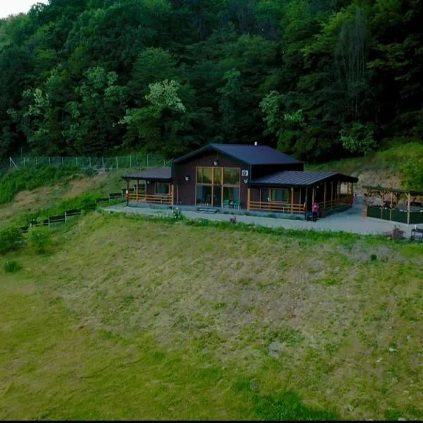 Casa cu Pădure: Vălenii de Munte şehrinde bir otel