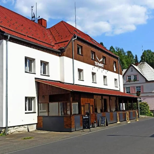 Hotel Schwarz, hotel in Nové Hamry