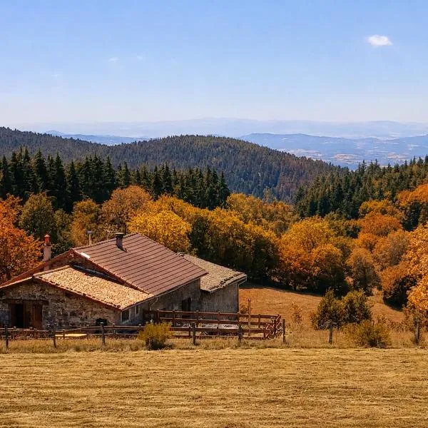 Refuge Aquilæ - Nature, sauna & bain nordique privatifs, готель у місті Vollore-Montagne