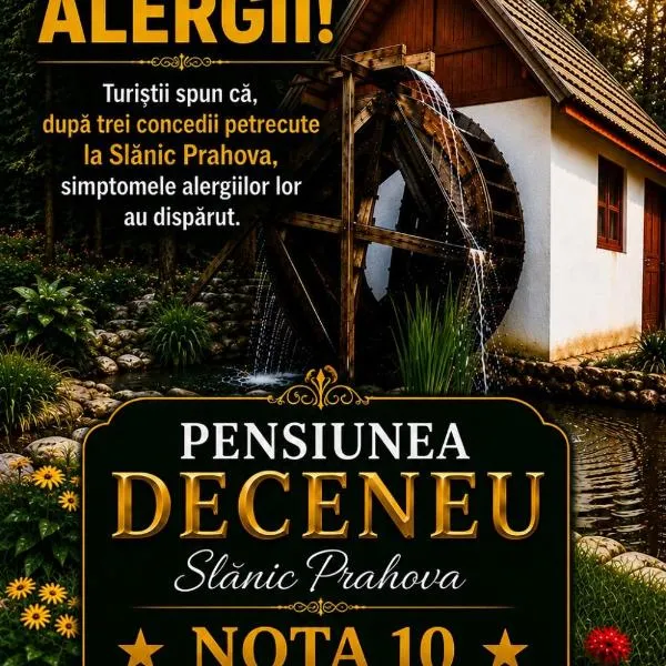 Pensiunea Deceneu, ξενοδοχείο σε Slănic