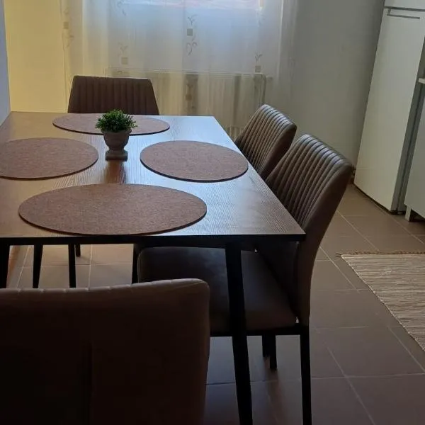 Casa Dorina, hotel en Timişoara