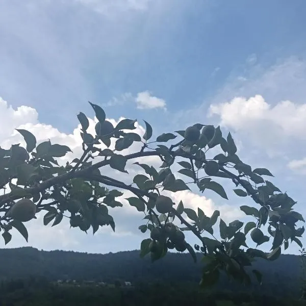 Impression of Karpaty, viešbutis mieste Jaremčė