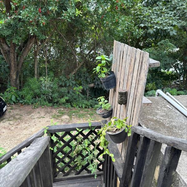 Aroeira Suite - Foto 5