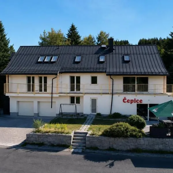 Horský penzion a bistro Čepice, hotel in Pernink