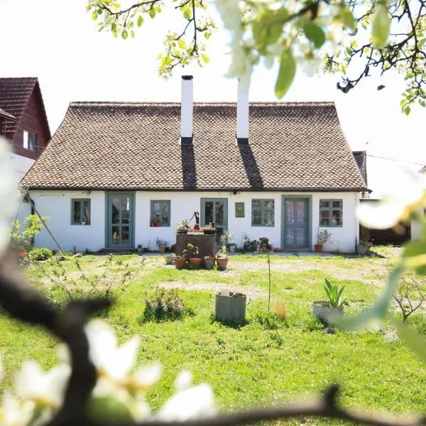 Dupa Gust, hotel en Hărman