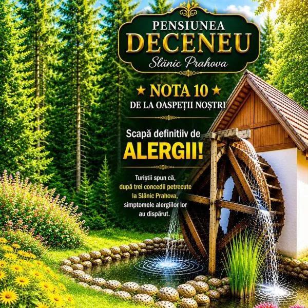 Pensiunea Deceneu, hotel en Slănic